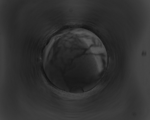 X0000091850048200710031029