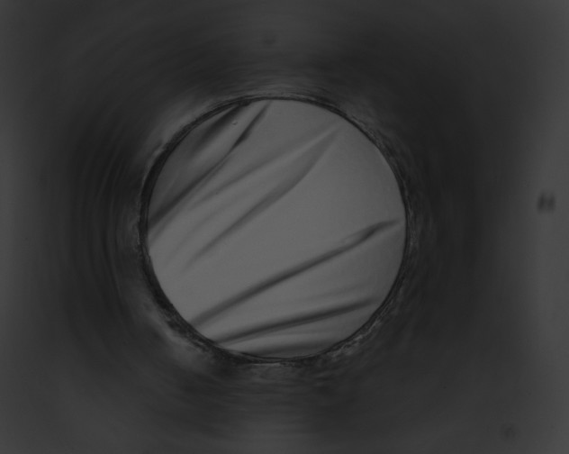 X0000091850050200710031028