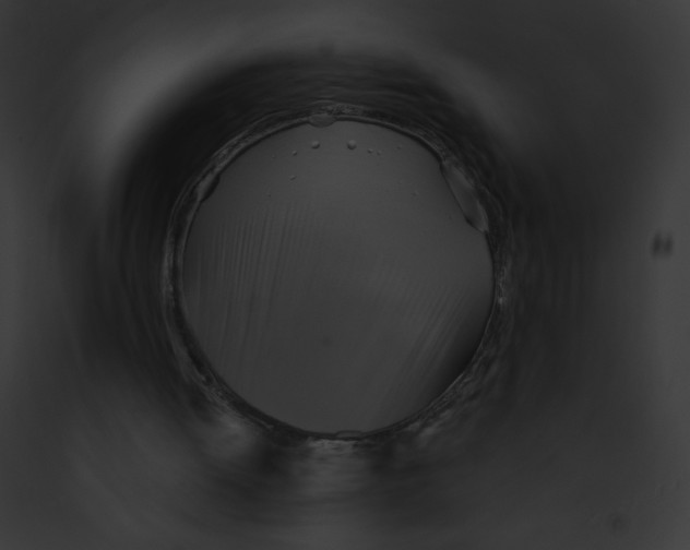 X0000091850052200710031028