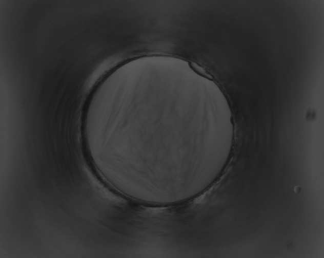 X0000091850054200710031028