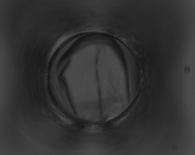 X0000091850056200710031028