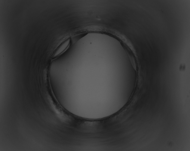 X0000091850057200710031028