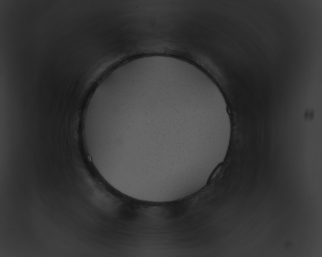 X0000091850058200710031028