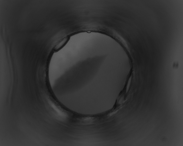 X0000091850059200710031028