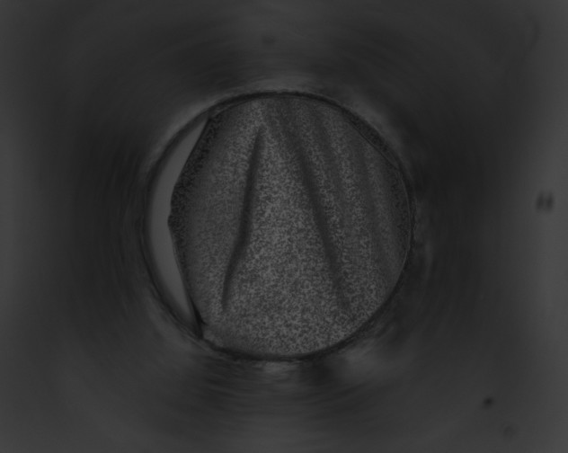 X0000091850060200710031028