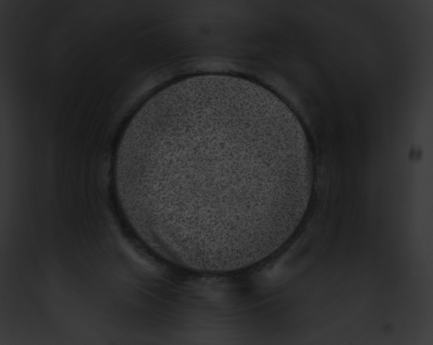 X0000091850063200710031028