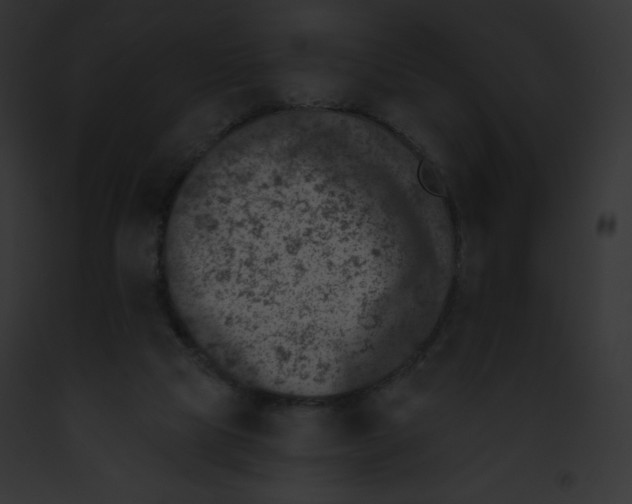 X0000091850065200710031028