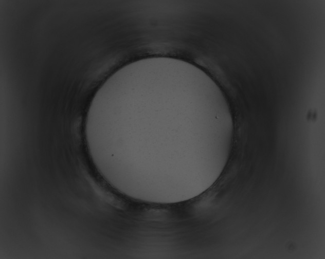 X0000091850066200710031028