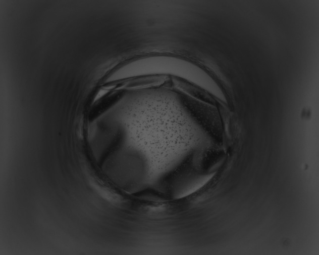 X0000091850068200710031028
