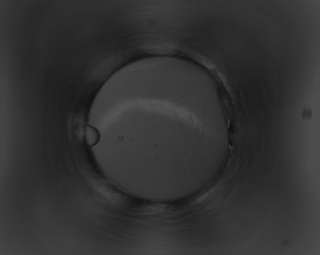 X0000091850069200710031028