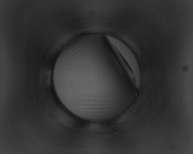 X0000091850070200710031028