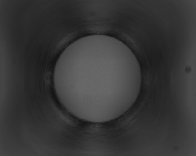 X0000091850071200710031028