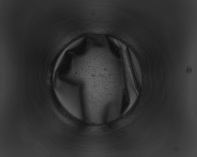 X0000091850072200710031028