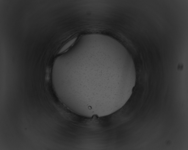 X0000091850075200710031028