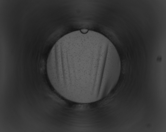 X0000091850077200710031028