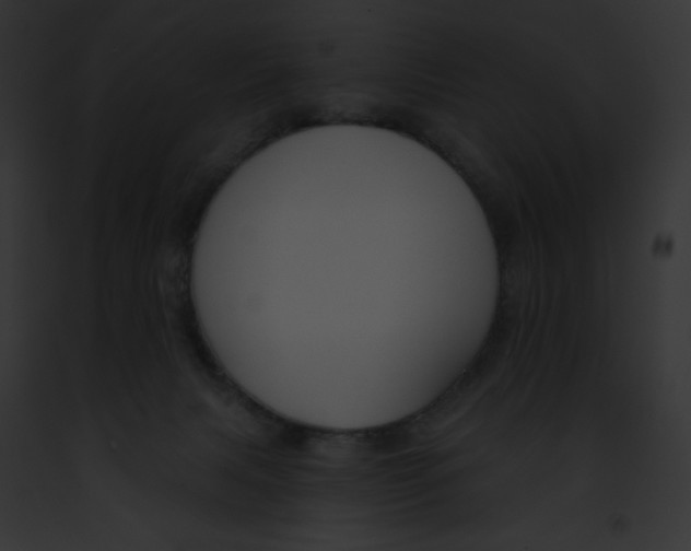 X0000091850079200710031028