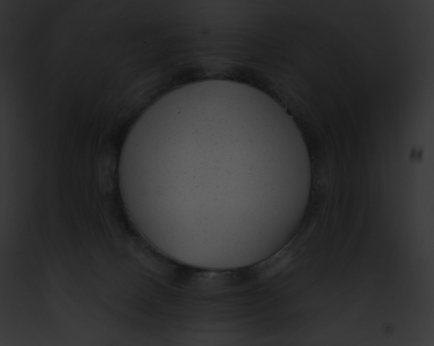 X0000091850082200710031028