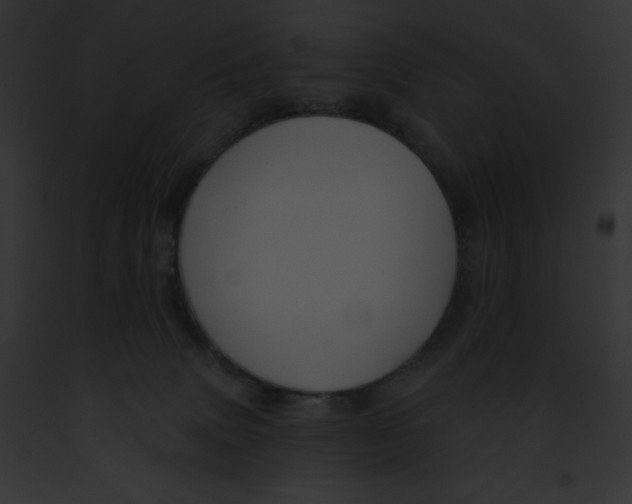 X0000091850083200710031028