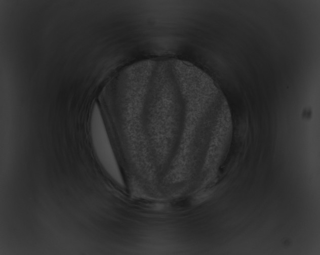 X0000091850084200710031028