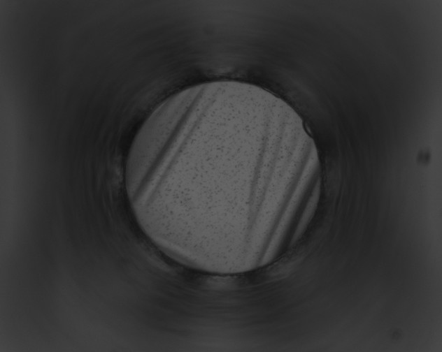 X0000091850085200710031028