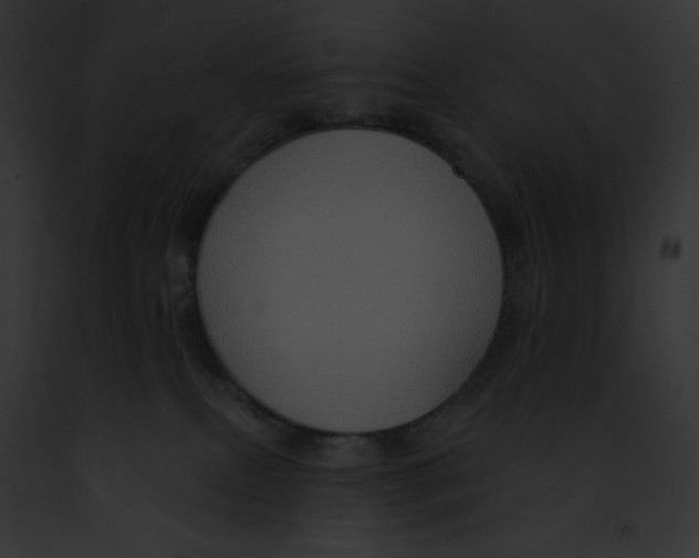 X0000091850087200710031028