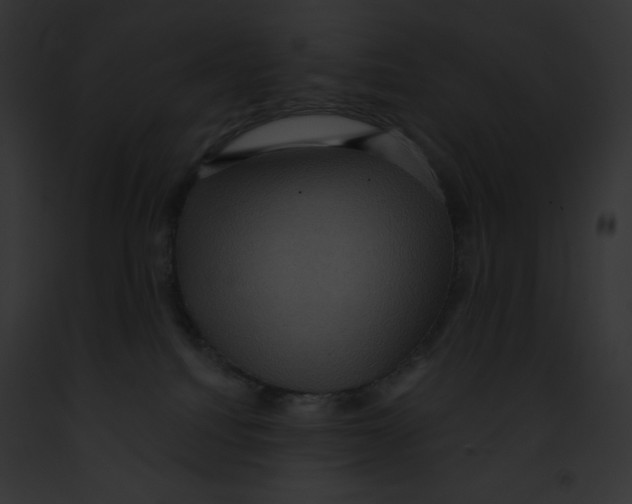 X0000091850088200710031029