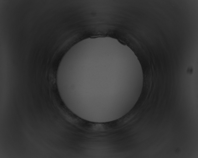 X0000091850091200710031029