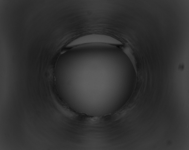 X0000091850092200710031029