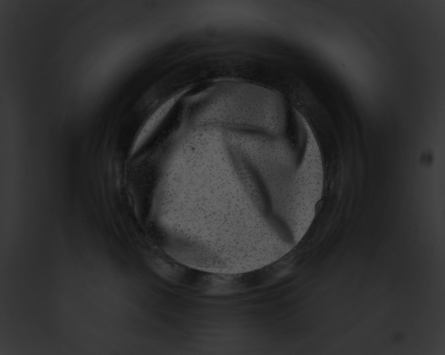 X0000091850093200710031029