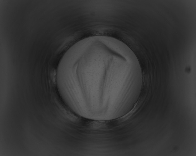 X0000091850094200710031029