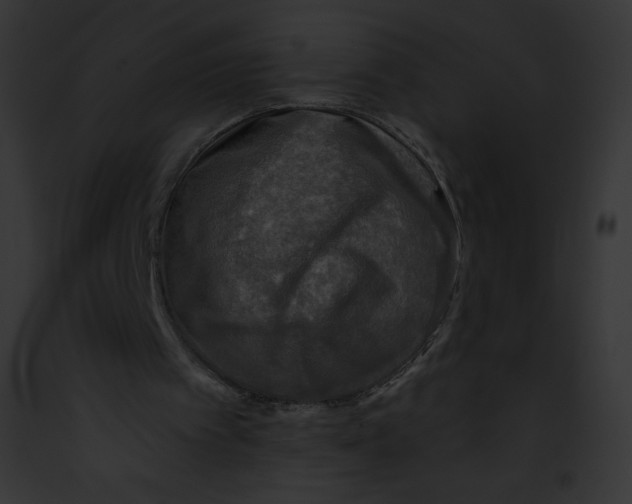 X0000091850097200710031028