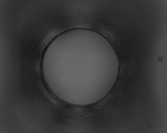 X0000091850098200710031028