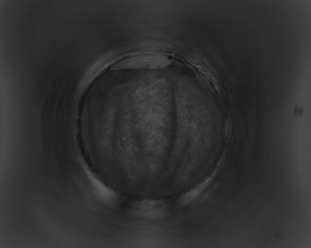 X0000091850101200710031028