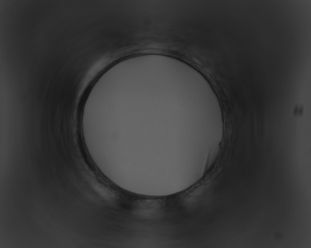 X0000091850102200710031028