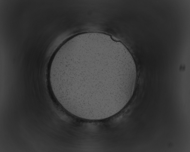 X0000091850103200710031028