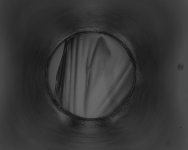 X0000091850105200710031028