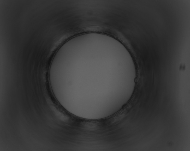 X0000091850106200710031028