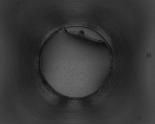 X0000091850107200710031028