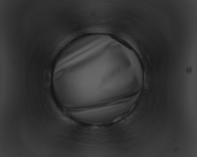X0000091850109200710031028