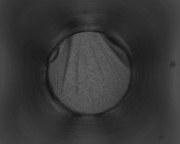 X0000091850110200710031028