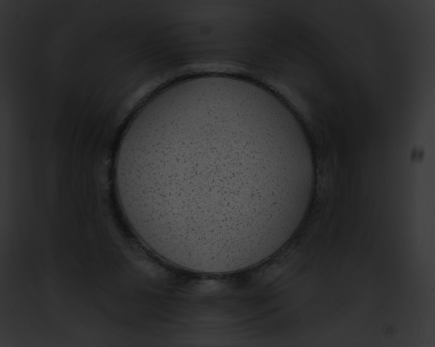 X0000091850111200710031028