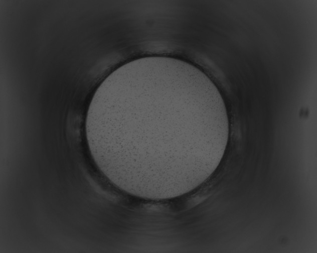 X0000091850115200710031028
