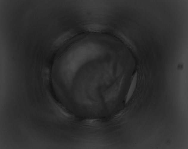 X0000091850117200710031028
