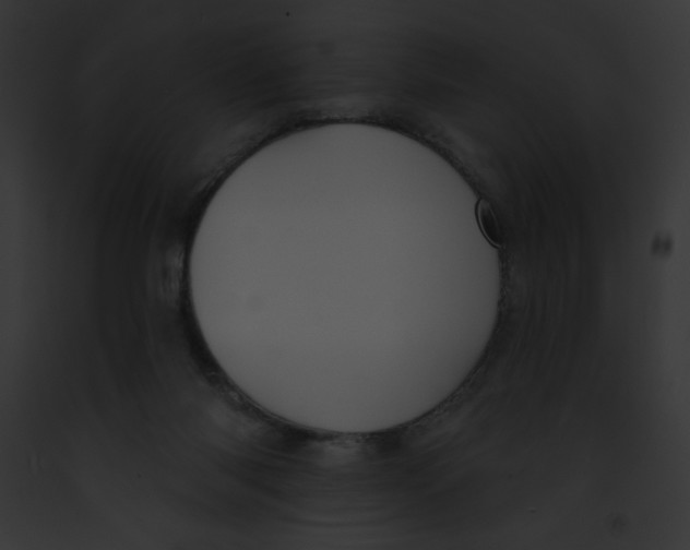 X0000091850118200710031028