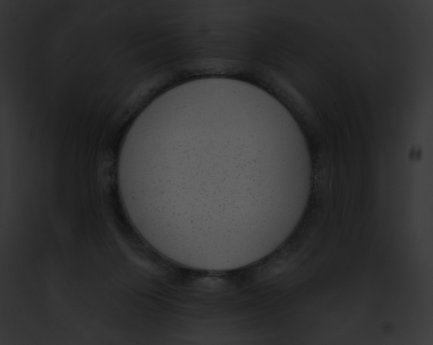 X0000091850119200710031028