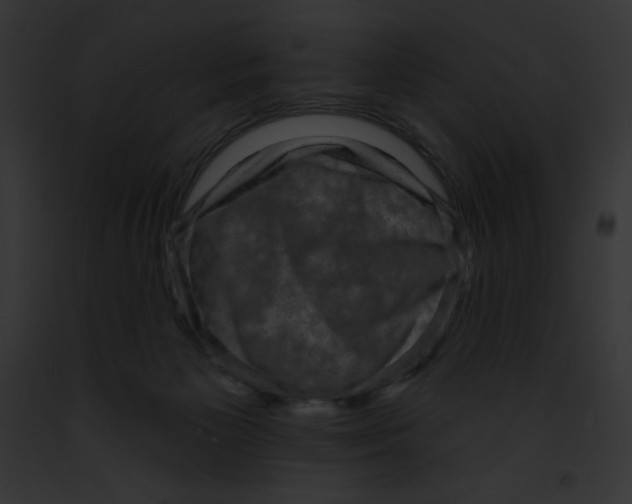 X0000091850125200710031028