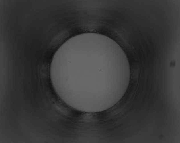 X0000091850126200710031028