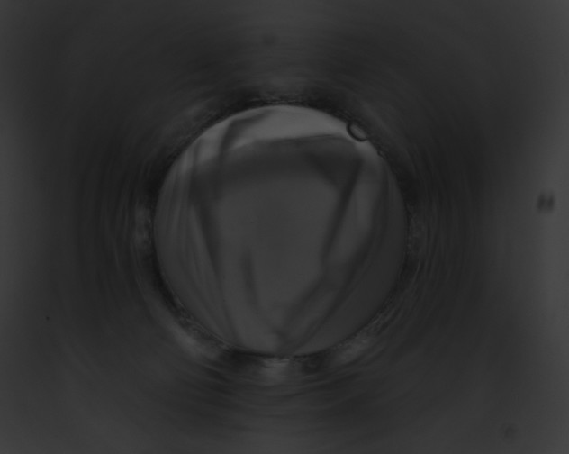 X0000091850130200710031028
