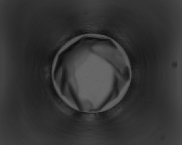 X0000091850131200710031028