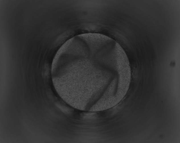 X0000091850132200710031028